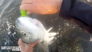 Surf Fishing Tip of the Week # 52 Catching blues on Bucktails