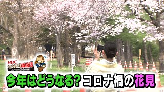 今年はどうなる？コロナ禍の花見「ＨＢＣもんすけ調査隊」2021年3月16日放送