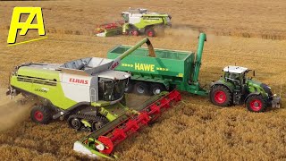 🚜 CLAAS LEXION 760 Gerste dreschen an der Ostsee in Norddeutschland Erntestart 2021 1 #FENDT #CLAAS