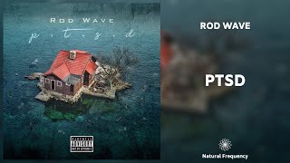 Rod Wave - PTSD (432Hz)