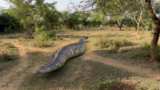 Anaconda Snake Attack In Real Life | Big anaconda snake in Real life | HD Video VB FILM