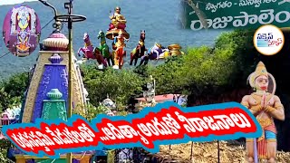 నేడు రాజుపాలెం శ్రీ సూర్యనారాయణమూర్తి రథసప్తమి వేడుకలతో ...ఆదిత్యా అందుకో నీరాజనాలు