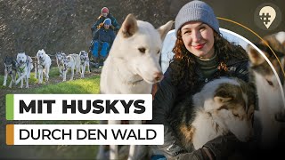 Schlittenhunde: Mit Husky und Schlitten durch den kleinen Harz | #hinREISEND