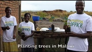 Fruitful Office Planting Fruit Trees campaign - the Nkwazi family