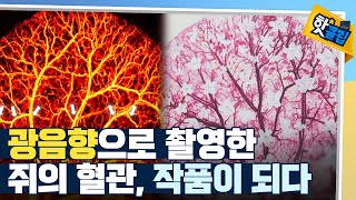 [핫클립] 첨단 과학 기술과 예술의 만남 / YTN 사이언스