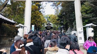 January 8, 2023 The rumored crowd at Kyoto Usagi Shrine turned out to be ridiculous!