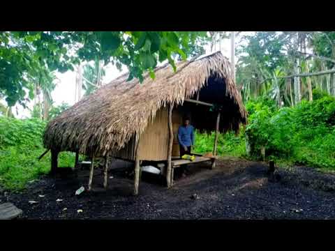 Simpleng Buhay Sa Probinsya Pag Harvest Ng Kamote At Mais Sa Dating Bahay Kubo Binatang Pinoy