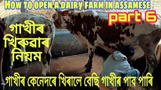 How to open a dairy farm in Assamese .গাখীৰ কেনেদৰে খিৰালে বেছি গাখীৰ পাব পাৰি ।।