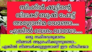 ബുഷി പോട്ട് അഗ്ലോണിമയുടെ വിലകൾ കണ്ട് ആരും ഞെട്ടരുതേ. ഒരു വരുമാനമാർഗ്ഗം ആഗ്രഹിക്കുന്നവർക്ക്. #trend