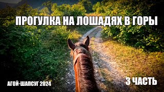 Прогулка на лошадях в горы. #horse #лошади