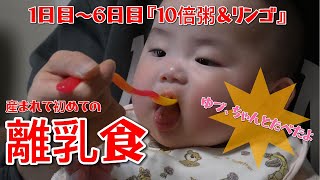 【永久保存ゆづ動画】産まれて初めての離乳食1日目～6日目10倍粥とリンゴ『ゆづ、ちゃんと食べたよ』