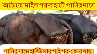 আঠারো মাইর গরুর হাটে পানির দামে হাড্ডিসার গাই গরুকেনা যায়।