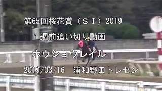 浦和競馬　第65回桜花賞（ＳⅠ）2019  １週前追い切り動画　ホウショウレイル、トーセンガーネット