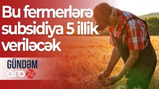 ŞAD XƏBƏR! Bu fermerlərə subsidiya 5 illik veriləcək