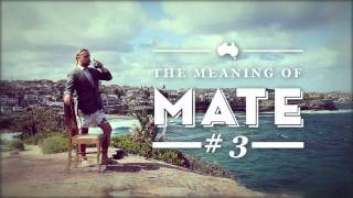 The Meaning of Mate #3