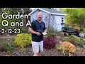 Great Garden Questions Answered - Moon Date, Dividing Ferns, Spider Mites, Pruning, Sun Hydrangea