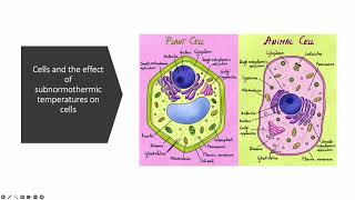 Principles of Cryobiology: A Brief Review