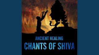 Shivashtakam Mantra - Mantra to remove all problems