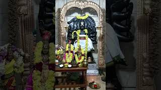 Vaikunda Ekadashi vrat Sirappu Alankar Sri Ramabiran Sri Sita Biratti Ashirwad to All Bakthas 🙌🙌