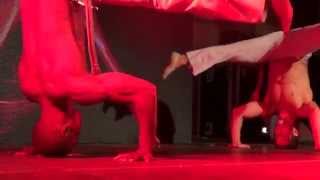 Brazilian Fantasy Capoeira Show