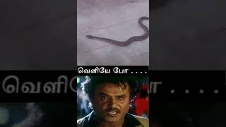 ”வெளியே போ...” - சொல் பேச்சை கேட்டு வெளியே சென்ற பாம்பு | Funny Video | Snake Video