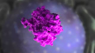 Isis Module 1 Animation   How Antisense Drugs Work