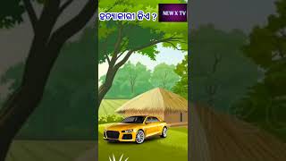 ହତ୍ୟାକାରୀ କିଏ?|Odia story|odia gapa kahani|#shorts