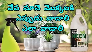 వేప నూనె మొక్కలకి ఎలా వాడాలి How to use neem oil for plant