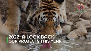 2022 - A Look Back | Earth Brigade Foundation Projects