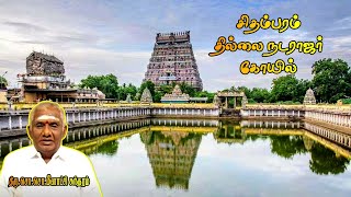 சிதம்பரம் தில்லை நடராஜர் கோயில் | Chidambaram Thillai Natarajar Temple | So So Meenakshi Sundaram |