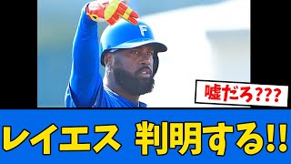 【朗報】レイエス”衝撃の事実”が判明する!!!　【プロ野球反応集】【2chスレ】【5chスレ】