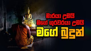 මාරයා උඹයි... මගේ ගුරුවරයා උඹයි... මගේ බුදුන්...