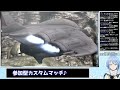 【バトオペ2】天井いかずに当てちゃうねバンシィ♪参加型カスタムマッチ！【涼野ゆい vtuber】