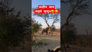 काहीच काम नव्हते म्हणून😅😂 केलेला मोठा पराक्रम 🤣🤣 #viral #चोरीचोरीचुपकेचुपके #viral #comedy