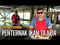 PENTERNAK IKAN TILAPIA | LIFELONG LEARNING MUSIM 2 | TVS Entertainment