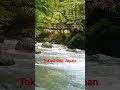 oku iya double vine bridges tokushima japan 徳島 奥祖谷二重かずら橋