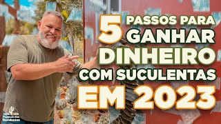 5 passos para GANHAR DINHEIRO com SUCULENTAS em 2023