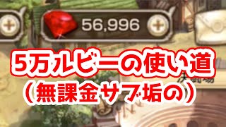 【キングスレイド】サブ垢の5万ルビー、何に使おうか？【キンスレ】