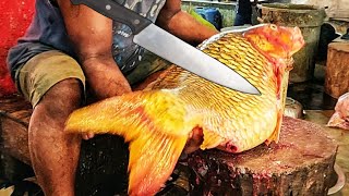 Never Seen Big Carp Fish Cutting Live In Fish Market Fish CuttingSkills| fish cutting |fish cutting