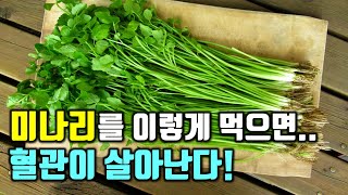 미나리를 이렇게 먹으면 혈관이 살아난다!(염증완화 등 미나리의 효능, 만드는 방법 포함)