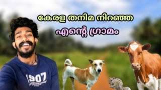 കേരള തനിമ നിറഞ്ഞ എന്റെ ഗ്രാമം “പാങ്ങ് ” #myfirstvlog #malappuram #village #beautiful