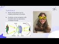 PSYC3040 semester project: inverted vision