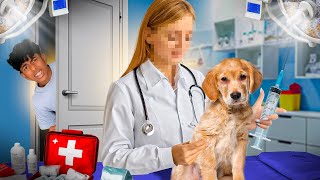 LEVAMOS O FILHO DO ESTEVÃO NO VETERINÁRIO!! *ele tomou vacina