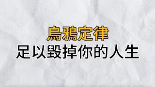 有一個很恐怖的規則叫：烏鴉定律，他足以毀掉你的人生！｜思維密碼｜分享智慧