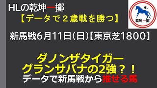 新馬戦6月12日日東京芝1800【ダノンザタイガー・グランサバナの2強？！】