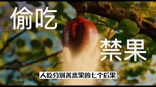 【信仰答疑】為什麼神不要人吃分別善惡果？人吃禁果的七個後果 Why God does not want people to eat the fruits of good and evil?