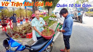 Giá Mai Vàng Giảm Đột Ngột Rẻ Bèo Bán Gắp Về Quê Chợ Hoa Tết Quận 10 Xả Kho Đào Cuối Năm