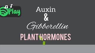 Auxin and Gibberellin Hormones Explained