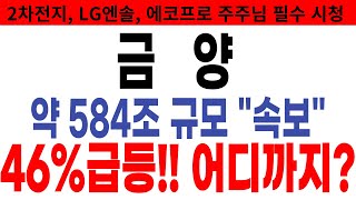 [금양 금양주가 금양주가전망]🔴제 말 맞죠? 46% 급등!! 어디까지 갈랑가 몰라~[2차전지]