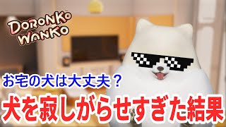 【DORONKO WANKO】悪気はないんです！かわいいポメになって家を汚しまくる無料ゲーム